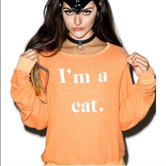 Wildfox Tops - Wildfox Guess What I Am Baggy Beach Jumper